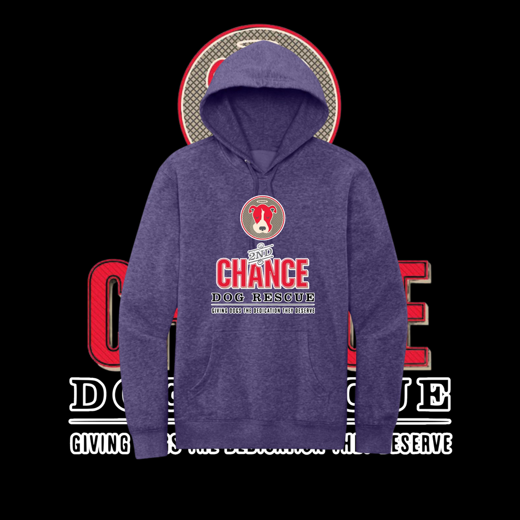 2nd Chance Hoodie